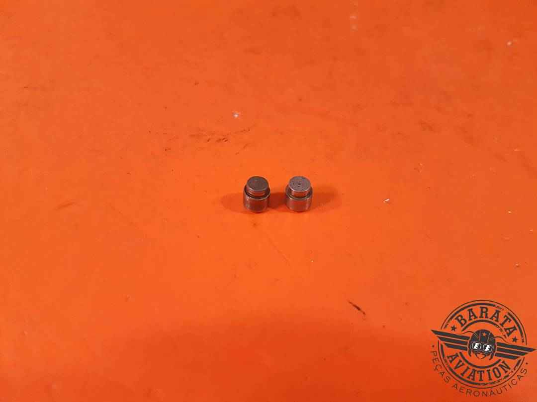 SET OF 2 PINS - MAIN STRUT  P/N: 20784 00