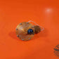 SWITCH - PRESSURE MAIN LDG GEAR INCLUDED CONNECTOR AND NIPPLES P/N: 101-384111-1 