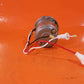 58-380090-1 Raytheon Landing Gear Motor- 28 vdc - 20 amps
