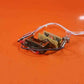 BZ-R31 Beech Door Lighting Kit