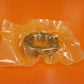 1906S304 SKF Annular Ball Bearing