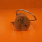 230-0534-030 Collins gearcase motor - 27 vdc